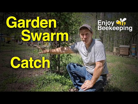 04 12 2021 Garden Swam Catch