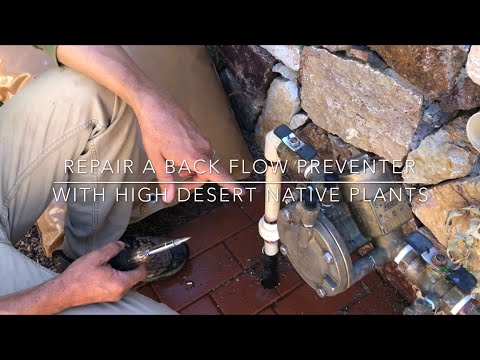 How to repair a leaking backflow preventer