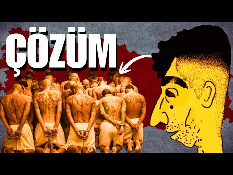 HIRT SORUNU VE ÇÖZÜMÜ | TÜRKİYE'DE HIRT SORUNU | HIRT PSİKOLOJİSİ