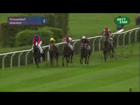 Brauerei im Füchschen-Rennen - Maiden (D) 2019