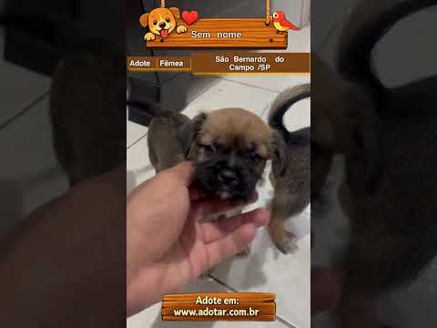 Vídeo de Sem nome 