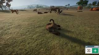 Planet Zoo　サンドボックスでしか見られない猫族の楽園