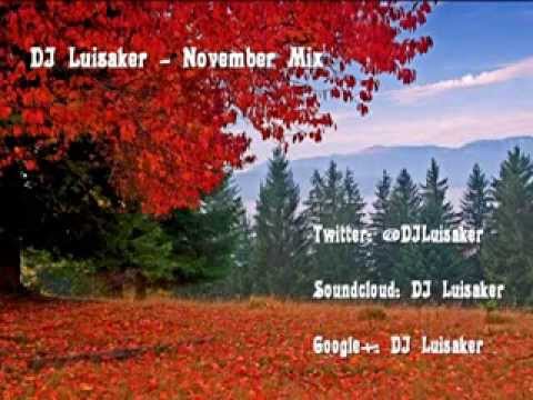 DJ Luisaker - November Mix 2013