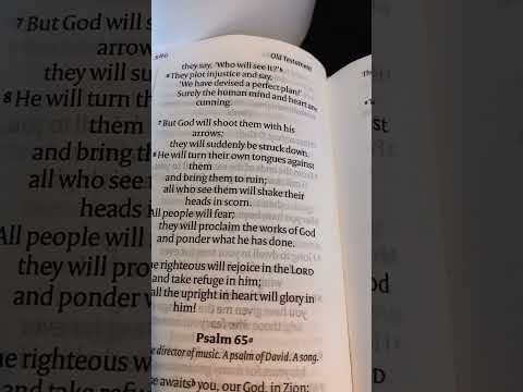 psalm 64| The righteous will rejoice in the Lord and take refuge in Him