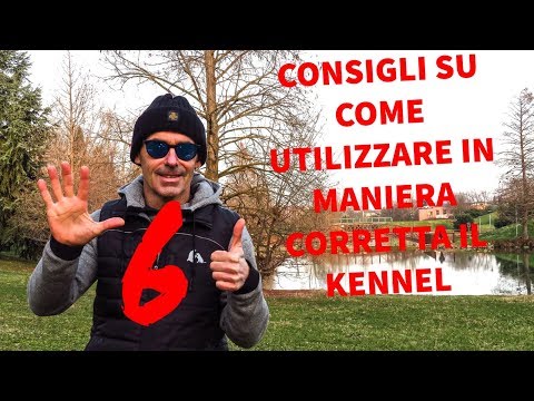 6 tips on how to use the kennel correctly at home