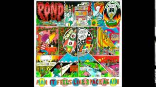 pond - Waiting Around For Grace