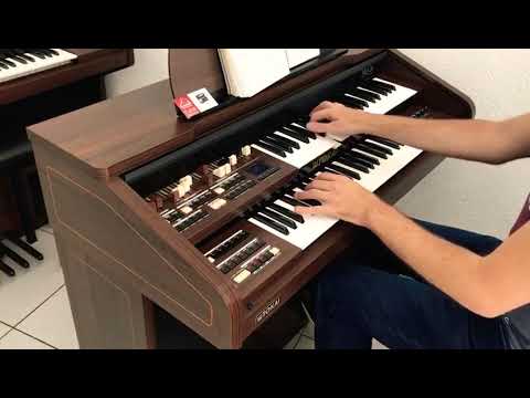 Órgão Eletrônico Tokai Md 20 ❤