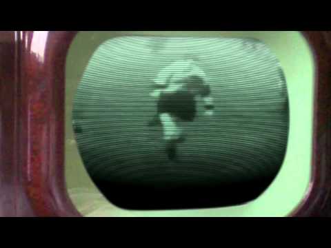 Live and Let Dai. David Watkins. A Life In Rugby