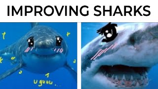 Shark Memes