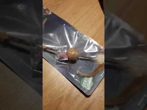 la mia morning routine con il mio NUOVO gatto🐈‍⬛