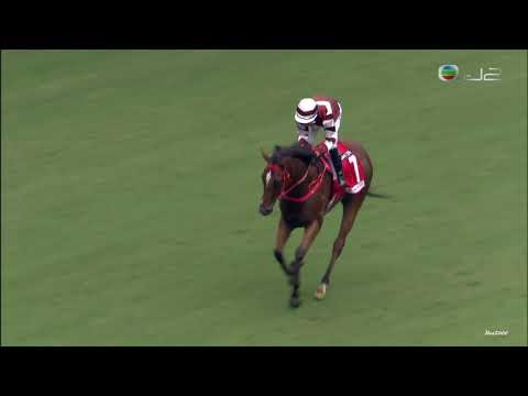 31/10/2021 (132) 好眼光 (D375) 波健士