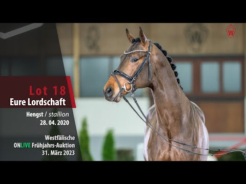 ONLIVE Frühjahrs-Auktion Lot 18 Eure Lordschaft Hengst v. Escamillo - Ampere (NLD)