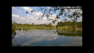 Riccardo Cocciante - Sabato, rilassatamente