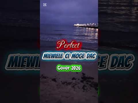 Perfect -Niewiele ci mogę dać (Cover 2026) Seba_dance#remix #music # #cover #dj #newmusic #perfect 
