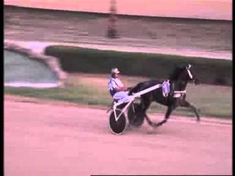 www kennethvella.com Meeting (37) Date 2-10-2015 Race 1,2,3,4,5,6,7,8,9