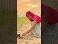 शाम की चाय Chai Gaon Rajasthan Evening Marwadi Youtubeshorts Shorts Desi Video Tea