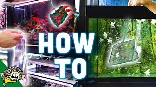 How to Catch Fish Tutorial. All my Tips, Tricks and Secrets.