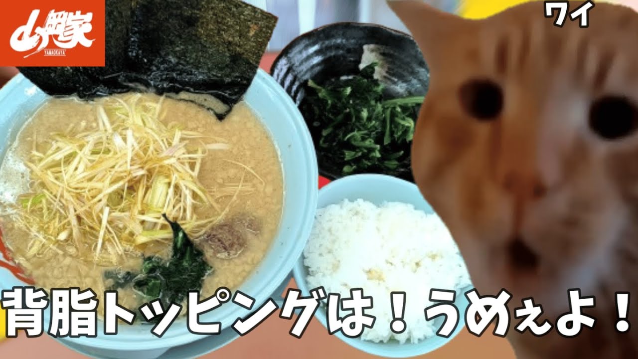 【山岡家】ネギ醤油ラーメンには背脂だろ！！？？ほうれん草とライスも頼んで腹パンになってやるよ！！という話【クセになる味】#猫ミーム  #猫マニ