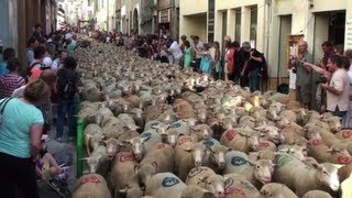 preview picture of video 'Fête de la Transhumance à Die 2013 (Drôme - France)'