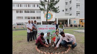 বৃক্ষরোপণ কর্মসূচি