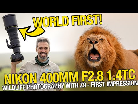 Video thumbnail for Video Review 2