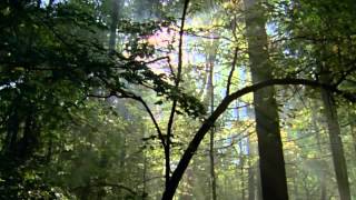 Moody Blues:  "Morning" Another Morning