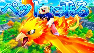 「ペットに乗る」という今ちょっと流行りかけているかもしれないゲームをやってみる【概要読んでね】