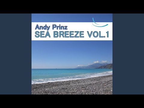 Leave It in Your Hands (feat. Jill) (Donald Wilborn vs. Andy Prinz Remix)