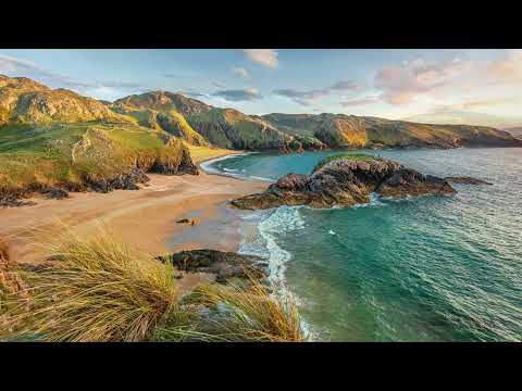 David London. Capture the Moment