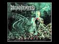 Decapitated - Nihility (Anti-Human Manifesto)
