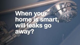 When your home is smart, will leaks go away