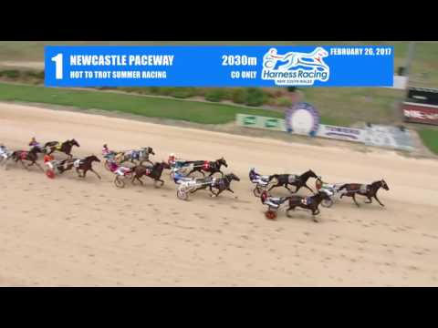 NEWCASTLE - 26/02/2017 - Race 1 - HOT TO TROT SUMMER RACING PACE