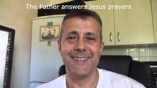 Forgive? Whatever for? - Gorilla199