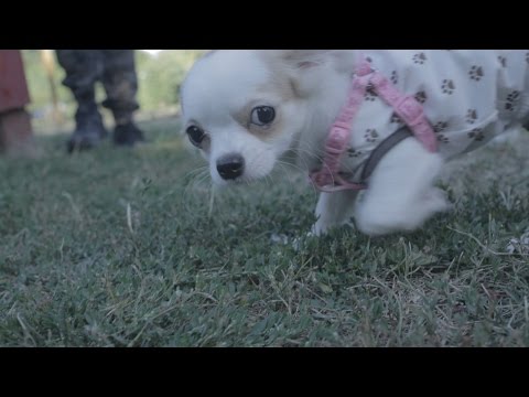 Bashmotion Vlog 145 - Чихи среща