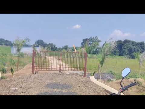  21 Acre Agricultural/Farm Land for Sale in Parseoni, Nagpur