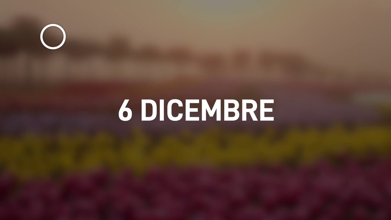 06 Dicembre 2024 | Meditazione Parole di Vita