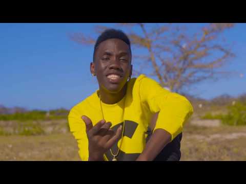 harry ft mee brown siamini official video