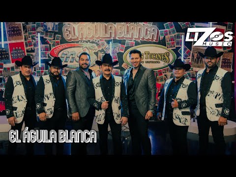 Miniatura de El &Aacute;guila Blanca