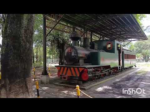 Fomos  apreciar as belezas da usina união na cidade de PRIMAVERA PE.