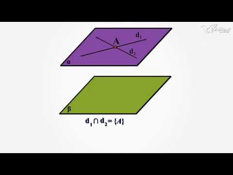 Plane paralele - Evaluarea Nationala 2022