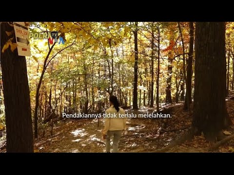 HARPERS FERRY, SAAT DAUN BERUBAH WARNA