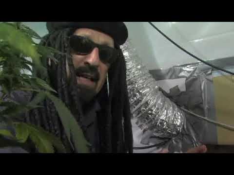 Jorge Cerventes' Ultimate Growers Guide. How to Build A Grow Room.