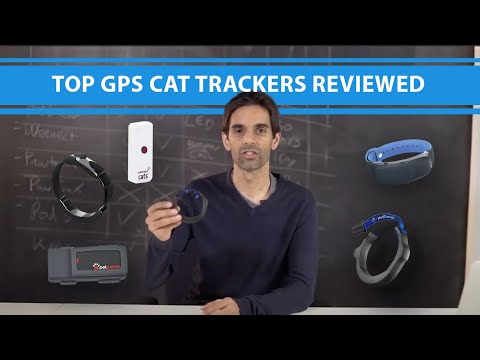 TOP GPS CAT TRACKERS REVIEWED. Find out which ones work and which to avoid!