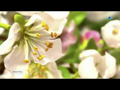 André Rieu: A Spring Blossom