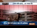 Aaj ka Viral: Who dare to challenge the lion of the jungle?