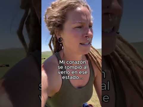 Al Despertar Se Habia Ido❤️ #animal #animales #naturaleza