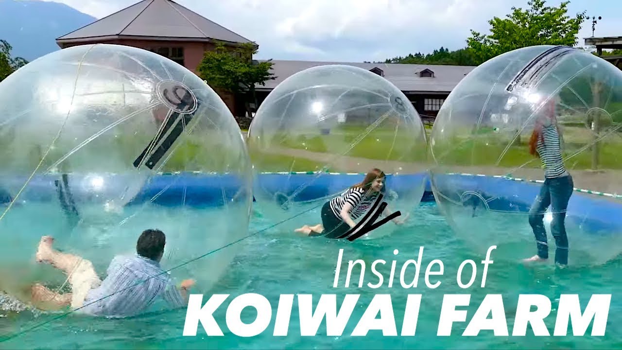 A Day at Koiwai Farm in Northern Japan