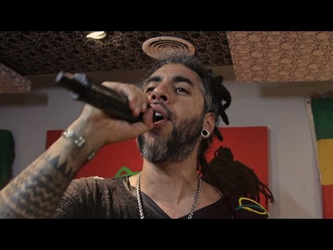 BlackDali - Se que me amas - Reggae en PelaGatos