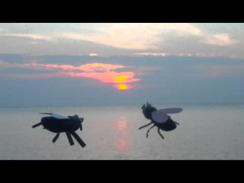 Buzzwords (english subs)