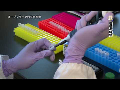 熊本大学『フィロソフィアの扉』第32回「国際先端医学研究機構」